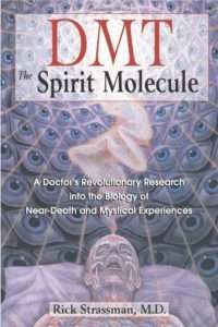 DMT the spirit molecule cover