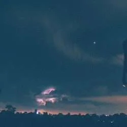 DArk Park 5 unsplash