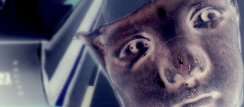 Emotional Trauma & Psilocybin