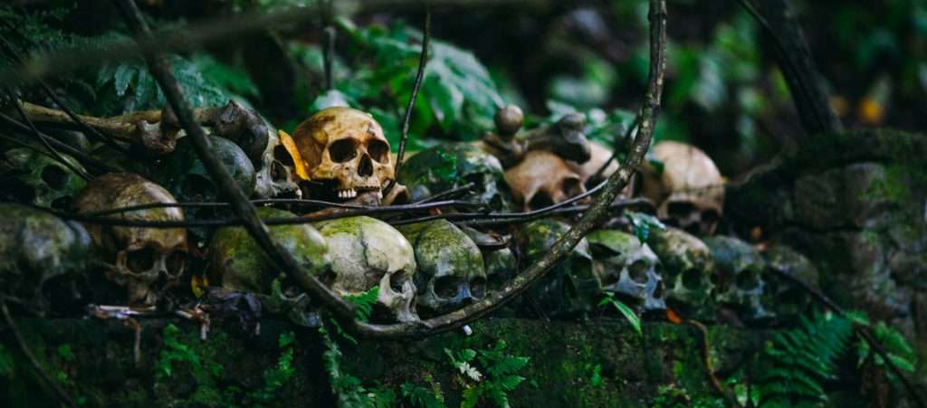 Can A Psilocybin ‘Ego Death’ Help Us Resolve Of Fear Of Dying?