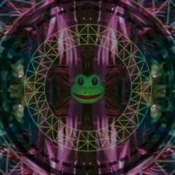 KAMBO Vlog # 2 kambo 2 blog header