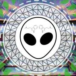 Psychedelic Entities, Plant Spirits, and Spiritual Bypassing enties clip blog header