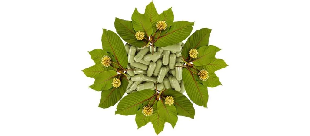 All About Kratom | Dr. Oliver Grundmann ~ ATTMind 121 attmind kratom header