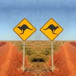 psychedelic acacia of australia