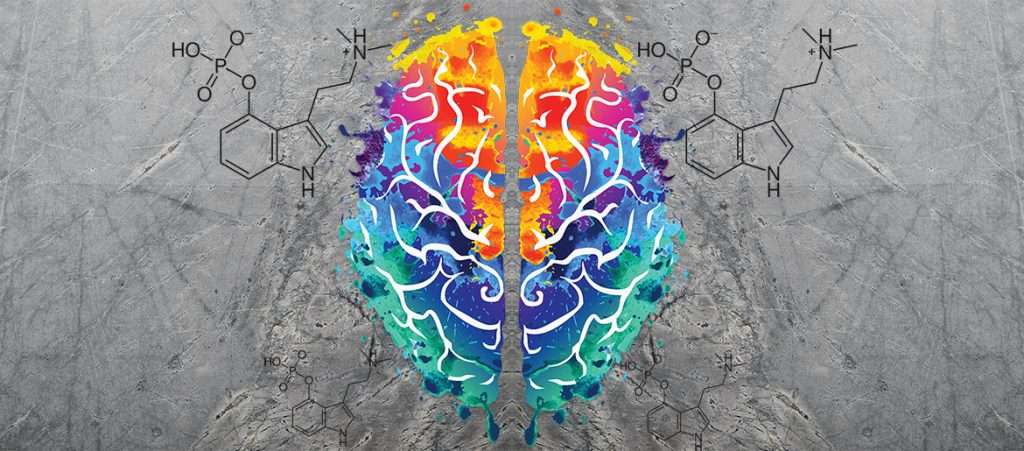 The Effects of Psilocybin on Creativity | Natasha Mason & Jan Ramaekers ~ ATTMind 145