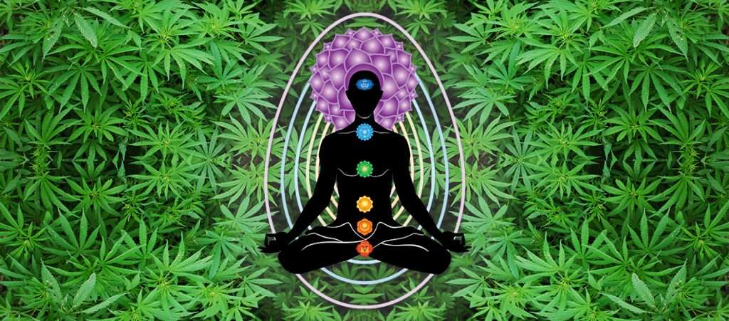 cannabis and yoga