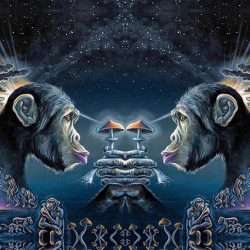 Stoned Ape Through Psilocybin and Evolution