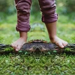 Restoring The Kinship/Indigenous Worldview | Four Arrows & Darcia Narvaez, PhD ~ ATTMind 166 restoring the kinship/indigenous worldview ATTMind podcast
