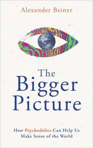 The Bigger Picture, Alexander Beiner