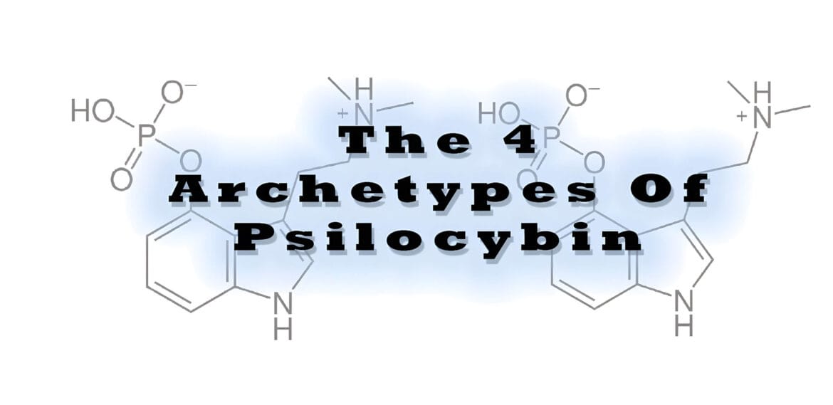 The 4 Archetypes Of Psilocybin 4 archetypes of psilocybin essay
