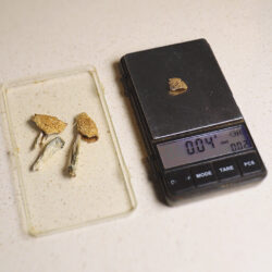 Microdosing Psilocybin; Effects on Stress Resiliency and Compulsive Behaviours | Dr. Mikael Palner ~ ATTMind 194 microdosing psilocybin